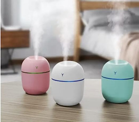 Home.Co- Mini USB Humidifier