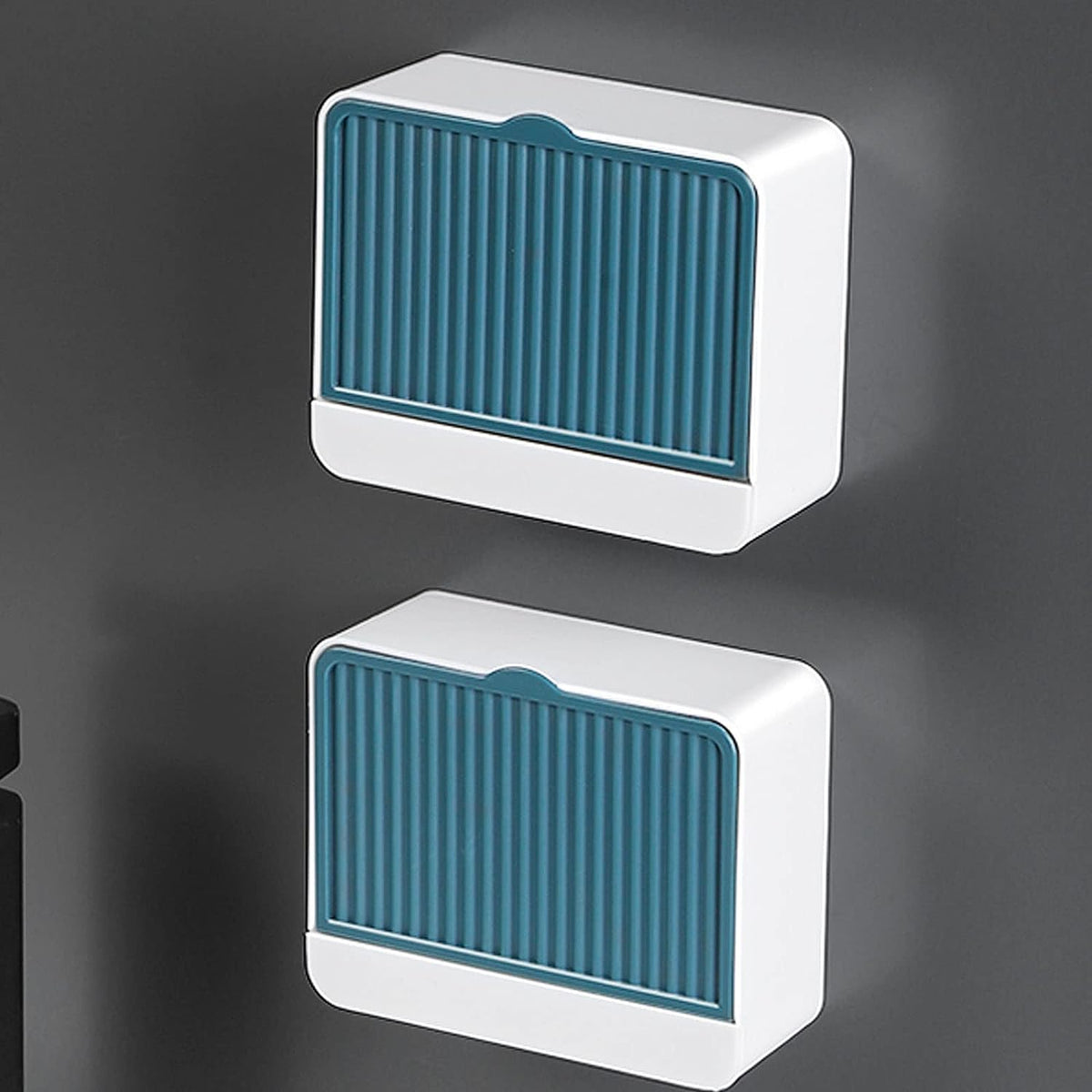 Home.Co- Dual Soap Box