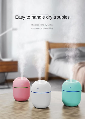 Home.Co- Mini USB Humidifier