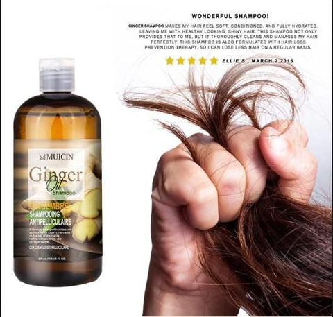 MUICIN - Ginger Oil Shampoo Gingembre For Anti-Hair Fall & Dandruff Control - Dual Action Scalp Care