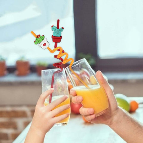 Home.Co - Reusable Fruit Straws