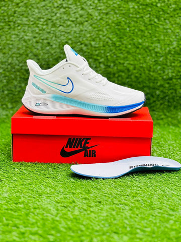 Nike Zoom Guide 10