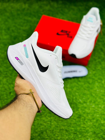 Nike Zoom Guide 10