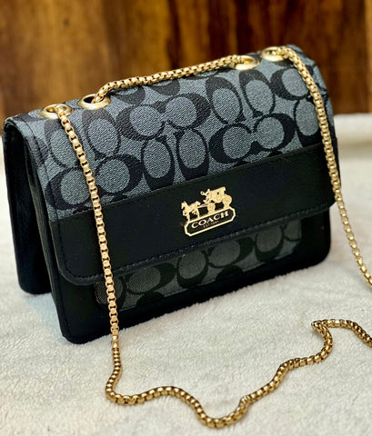 Aaa Quality  Coach Girls Crossbody With Long Chain.