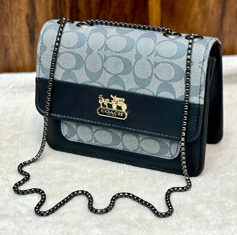 Aaa Quality  Coach Girls Crossbody With Long Chain.