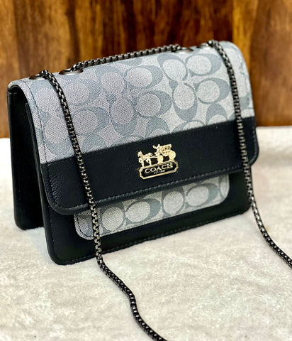Aaa Quality  Coach Girls Crossbody With Long Chain.