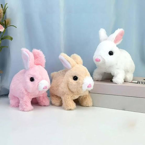Jumping rabbit stuff